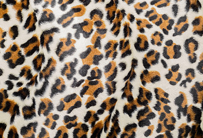 Fototapeta Zvieracia srsť Leopard 1029